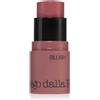 Diego dalla Palma All In One Blush 4 g