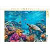 CALVENDO Puzzle Barriera corallina, una danza di luce e vita | 1000 pezzi puzzle 64x48cm Foto puzzle per ore liete