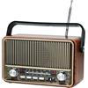 Selius Radio stereo FM/AM/onde corte con Bluetooth e supporto USB