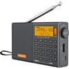 Selius Radio digitale portatile con sveglia e antenna esterna