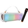 Selius Altoparlante Bluetooth portatile con 100W di potenza e illuminazione LED