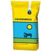 Barenbrug Sementi per pascolo Beef Master 15 kg â€" Barenbrug