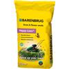 Barenbrug Semi prato fiorito calpestabile Happy Lawn â€" Barenbrug
