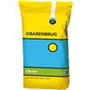 Barenbrug Semi trifoglio nanissimo Lawn Clover confettati â€" Barenbrug