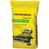 Barenbrug Semi prato calpestabile Resilient Blue Lawn â€" Barenbrug