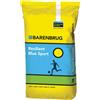 Barenbrug Resilient Blue Sport semi prato sportivo con Poa pratensis â€" Barenbrug