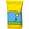 Barenbrug Semi prato sportivo anti Pyricularia RPR Stadium GLS â€" Barenbrug