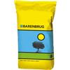 Barenbrug Semi prato rustico Sunny con Festuca arundinacea â€" Barenbrug 15 kg