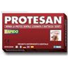 Protesan Protesi Riparazione Rapida