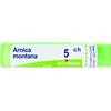 Boiron Arnica Montana 05Ch Granules 4g