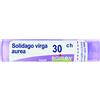 Boiron Solidago Virga Aurea 30Ch - Granuli Omeopatici 4g