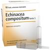 Heel Echinacea Composta S Forte - Confezione da 10 Fiale