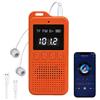 Selius Mini-radio con Bluetooth e radio FM ricaricabile
