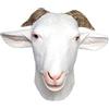 HoveeLuty Maschera di capra da 12 pollici con occhi realistici e corna in lattice, maschera di animale a faccia intera, costume da capra per adulti, per Halloween, Natale, Pasqua, Carnevale, feste in masch