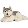 Living Nature Gigante Husky, Peluche di Cane Morbido e Realistico, Peluche Naturli, 60cm