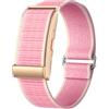 Cantaos Smart Band Sport Senza Schermo: Fitness Tracker Display Uomo Frequenza Cardiaca SpO2 Pressione Sanguigna Monitoraggio Sonno Contapassi 107 Modalità Sportive Richiesto IP68 Batteria 25 da Giorni Nylon