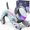 SIMREX Robot giocattolo per cani, giocattolo interattivo intelligente con sensore touch, telecomando Bluetooth, trucchi di danza, occhi LED, regalo di compleanno per ragazzi e ragazze, grigio