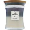 WoodWick Trilogy Amethyst Sky candela profumata con stoppino in legno