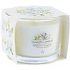 Yankee Candle Midnight Jasmine Signature - Votiva 0,037 kg