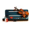 DOMUS Violino Domus Allievo 2 con ebano e corde Dogal R31