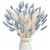 DabbOo 120 Pz Pampas Decorative, Fiori Secchi di Coda di Coniglio Grigio Bianco | Pampas Decorative Fiori Secchi, Erba di Pampa Secca Naturale | Soffice e Senza Manutenzione per Tavolo Matrimonio