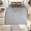 CHUNRONG Tappeto Salotto Pelo Antiscivolo Morbido 200x230cm Grigio Chiaro | Moderno Tappeto Camera Da Letto Facile Da Pulire Per Esterni Cucina Balcone Terrazza