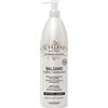 ALFAPARF MILANO IL SALONE Mythic Conditioner /Balsamo per Capelli Normali 1000ml