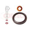 CORTECO 49445016 Kit anelli tenuta, Iniettore GK_DIV BOSCH 1.3 JTD INJ W | Compatibile con: ALFA ROMEO MITO, FIAT 500, 500 C, 500L, 500X, DOBLO Bus, DOBLO Cargo, DOBLO Großraumlimousine