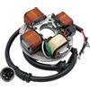 Generico Statore magnete a 4 poli e 3 fili - 12V - Adatto a Piaggio 50 Vespa PK XL N Plurimatic Rush - CI1686