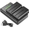 NEEWER Set di Batterie & Caricatore per NP-F550, 2 Pack 2600mAh Batterie e Caricatore USB, Compatibile con Sony NP-F970 F750 F770 F960 F550 F530 F570, Luci LED Monitor Slider, Nero