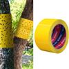 Senda Nastro adesivo per trappole per insetti per alberi, biadesivo, 5 cm x 10 m | Cattura le lanterne, blocca i lombrichi, intrappola formiche e coleotteri, alta viscosità, uso esterno degli alberi