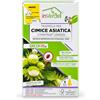 DFL S.r.l. NATUREPRO - CYMATRAP® GARDEN Trappola per Cimice Asiatica a Feromoni | Kit Ricarica Incluso, Senza Insetticidi, Monitoraggio e Cattura, Per Orto e Giardino, Piccoli Frutteti