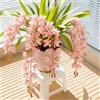 Sfdytg Cymbidium Orchid, Perenne - Giardini e Balconi, Adatta ai principianti-8bulbi-H