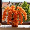 Sfdytg Cymbidium Orchid, Perenne - Giardini e Balconi, Adatta ai principianti-5bulbi-D