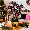 Sfdytg Cymbidium Orchid, Perenne - Giardini e Balconi, Adatta ai principianti-3bulbi-J