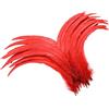 Holmgrem Piume di gallo rosse per fai da te, 60 pezzi, 30-35 cm. | Piume lunghe naturali in confezione grande per progetti fai da te, stola, maschere, ali e decorazioni per feste di Halloween