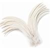 Holmgrem Piume a coda di gallo grandi color bianco crema per fai da te, 60 | Piume lunghe naturali in confezione grande per fai da te, costumi di Halloween, spettacoli di matrimoni e feste e decorazioni