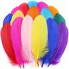Holmgrem Piume colorate per fai da te, decorazioni per feste, 200 pezzi, 12 | Piume per asilo, fai da te, artigianato, copricapo, orecchini, matrimonio, Pasqua e decorazione natalizia