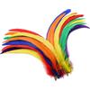 Holmgrem Piume grandi colorate per fai da te per decorazione di cappelli | Piume lunghe naturali in confezione grande, adatte per progetti fai da te, feste a tema e decorazioni per la casa