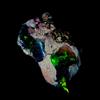 AK Gems And Jewellery Opal rough , Naturale Etiope Fuoco Opal, Nero opal gemstone 12.65 KT 30x20 MM
