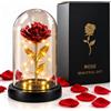 PARENCE. Rosa Eterna Rossa sotto Campana di Vetro con LED - Rosa Decorativa Rossa e Dorata con Illuminazione - Idea Regalo San Valentino, Compleanno e Festa della Mamma - 22 x 11 cm