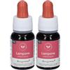 Basegemmo Lampone 30 Ml 2x30 ml Soluzione orale