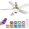 Roadtime Ventilatore da Soffitto con Luce RGB, 52 cm e Altoparlante Musica | 40W, Attacco E27, Telecomando, 3 Velocità, 3000K-6500K Dimmerabile, Illuminazione RGB, Timer 2H