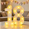 CECOMBINE Numeri luminosi a LED, decorazioni per il 18° compleanno, luci a LED con | Targa con numero illuminato, anniversario di matrimonio, festa di compleanno, decorazione per la casa, laurea