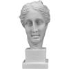 Generic Hygeia Salus - Statua greca romana della dea della buona salute, busto 15 cm