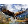 MEIYUDA 5D DIY Diamond Painting Kit Completo Aquila volante Animale Montagna, Diamant Painting Fai-da-te Diamond, Pittura Diamante Strass Ricamo a Punto Croce per Decorazioni Casa 40x30cm