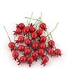 Nlinlin 20 mini melograno rosso artificiale ornamenti realistici melograno decorazione per matrimoni, casa, feste, Natale, artigianato, decorazione, piante artificiali e fiori