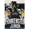 Generico Poster del Film Frankenstein Junior - Formato 70x100cm Stampa su Carta