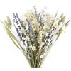 CEWUDA Mazzi Fiori Secchi Decorativi Naturali per Vaso Miste Bouquet Lavanda Essiccata Gerbere Coda di Coniglio Pampas Erba di Grano per Bomboniere Matrimonio Decorazione Casa Fai Da Te Partito