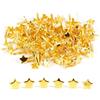 COACOM 100 aghi dorati a stella, mini stella, spilli doppii, clip per modello, clip di fissaggio in metallo, per lavori fai da te (14 m)